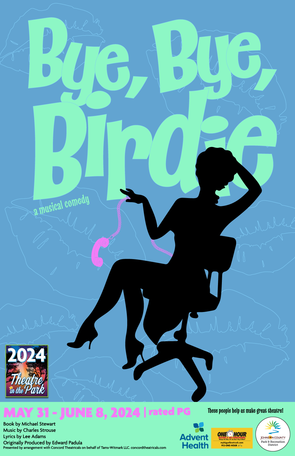 Bye Bye birdie Poster