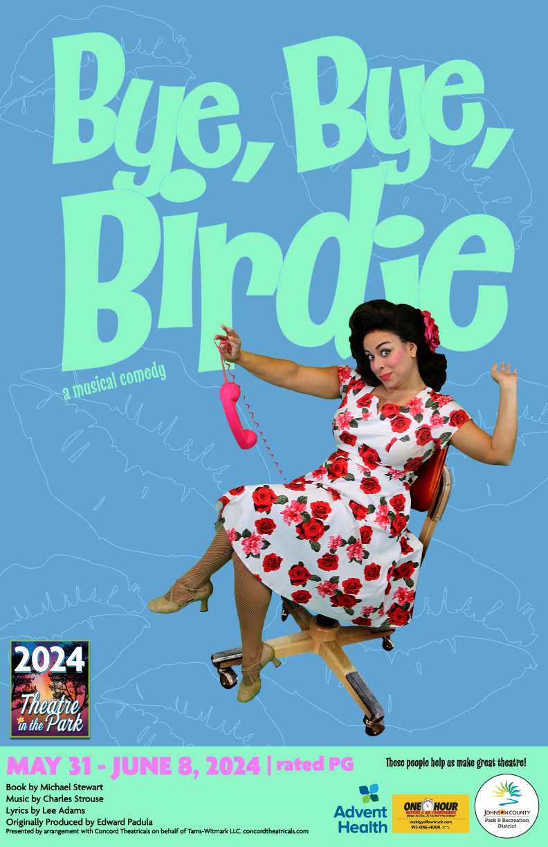 Bye Bye Birdie Show Poster